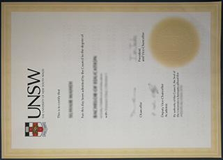 University of New South Wales degree