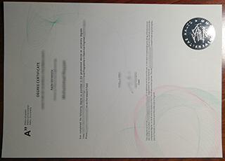 Aalto University degree