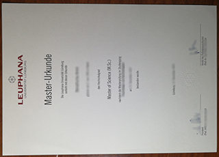 Leuphana Universität Lüneburg diploma