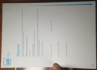 Leidse Onderwijsinstellingen diploma
