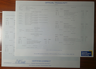 Toronto Metropolitan University transcript