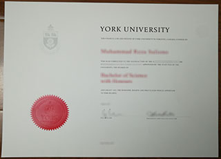 York University diploma