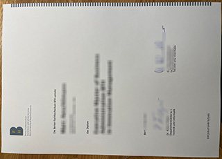 Berner Fachhochschule degree