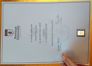 Birmingham Newman University degree