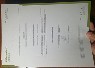 De Haagse Hogeschool diploma