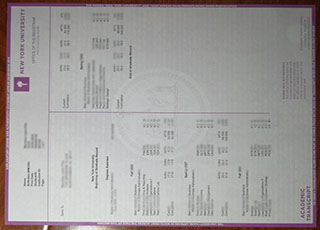 New York University transcript