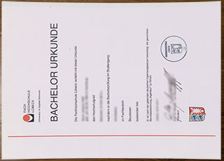 Technische Hochschule Lübeck degree