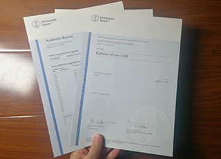 Universität Zürich degree and transcript