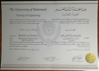 University of Balamand degree
