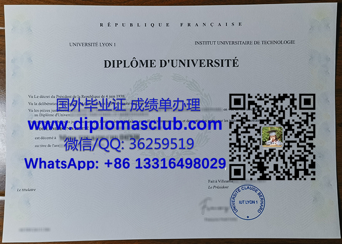 IUT Lyon 1 diploma