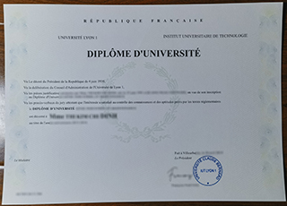 IUT Lyon 1 licence