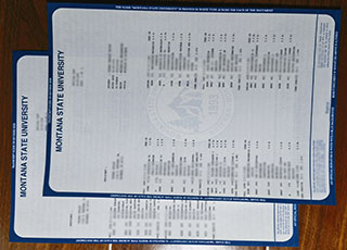 Montana State University transcript