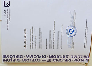 Ostfalia Hochschule für Angewandte Wissenschaften degree