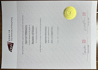 City University of Hong Kong degree