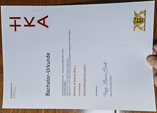 Hochschule Karlsruhe degree