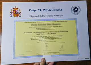 Universidad de Málaga diploma