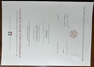 Università di Padova diploma