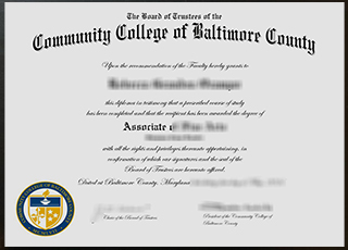 Community College of Baltimore County degree