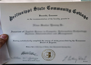Pellissippi State Community College degree