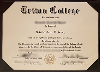 Triton College degree