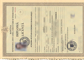 Academia de Studii Economice din București degree