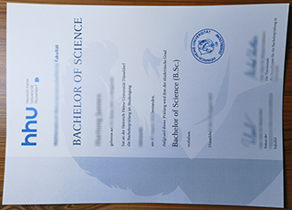 Heinrich-Heine-Universität Düsseldorf degree