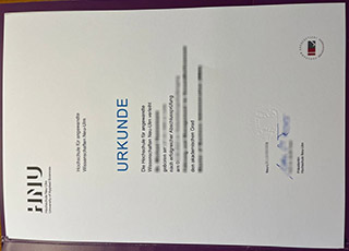 Hochschule Neu-Ulm degree