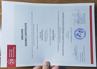 Technische Universität Braunschweig degree
