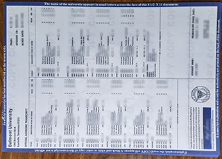 Belmont University transcript