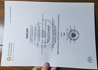 Hochschule Burgenland diploma