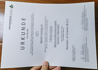 Hochschule Fulda diploma
