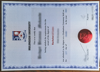 Mulungushi University degree