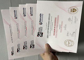 Singapore Institute of Technology diploma and transcript