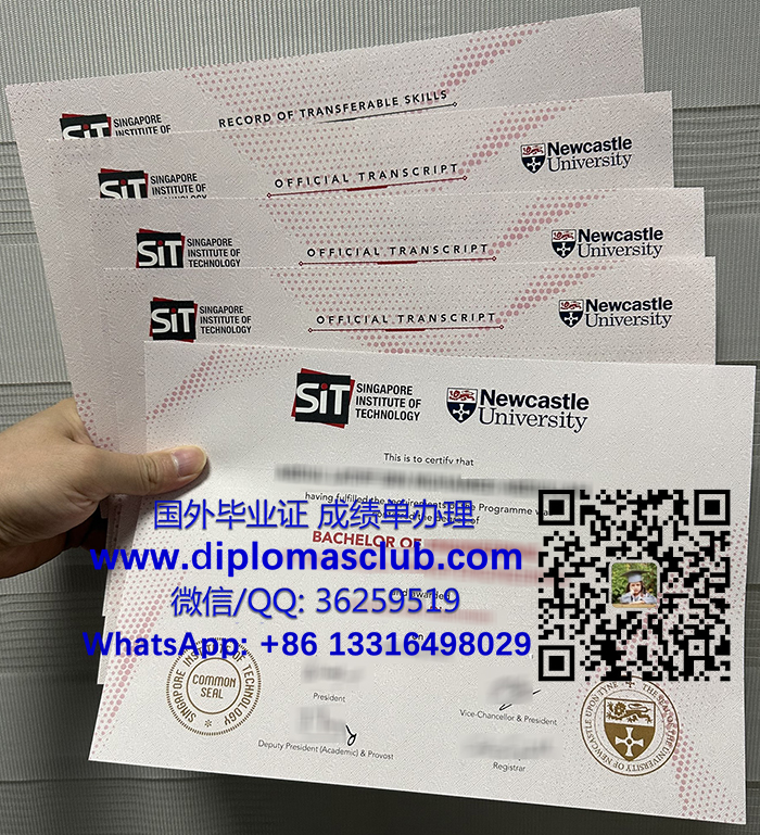 Singapore Institute of Technology degree and transcript