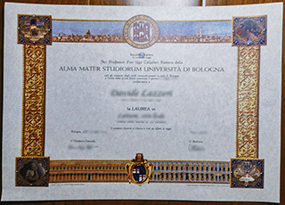University of Bologna degree