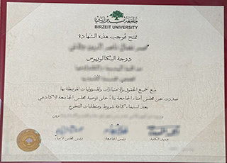 Birzeit University degree