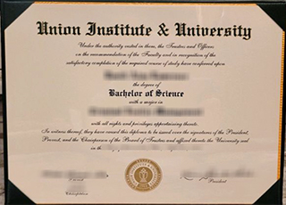 Union Institute & University degree