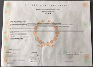 Université d'Orléans degree