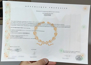 Université de Lille degreeUniversité de Lille degree