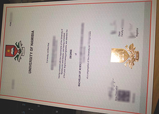 University of Namibia degree
