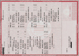 University of New Mexico transcript