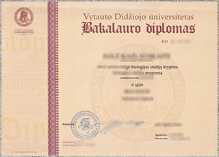 Vytauto Didžiojo universitetas diploma