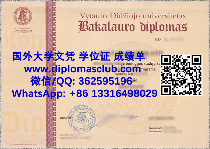 Vytauto Didžiojo universitetas degree