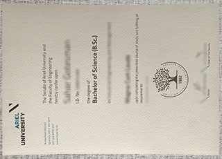 Ariel University degree