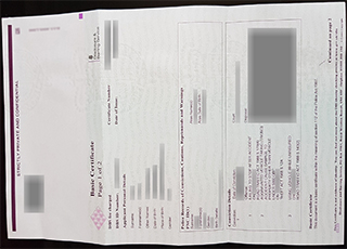 Disclosure and Barring Service certificate