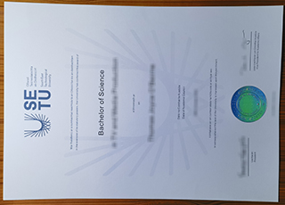 South East Technological University diploma