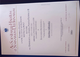 Università Napoli Federico II degree