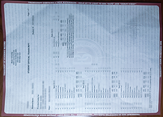 Bastyr University transcript