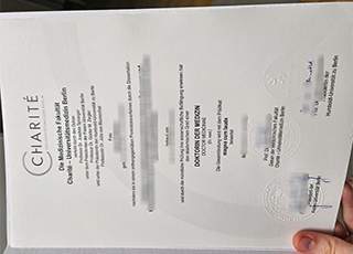 Charite Universitatsmedizin Berlin diploma