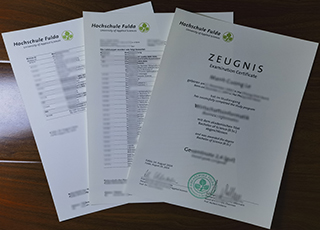 Hochschule Fulda transcript